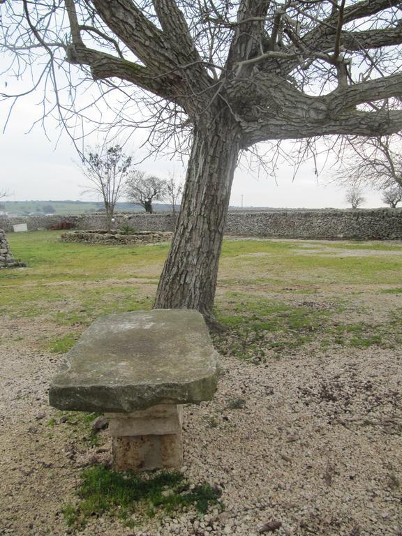 Trulli Sarmenzanello Apartment Noci Room photo