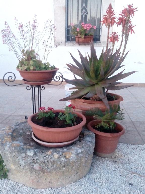Trulli Sarmenzanello Apartment Noci Exterior photo